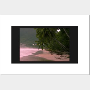 Morning Light on Tropical Coast Posters and Art